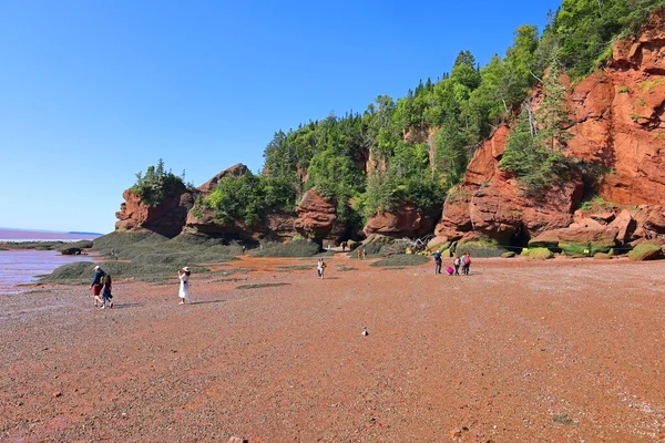 450+ Hopewell Rocks Beach Stock Photos, Pictures & Royalty-Free