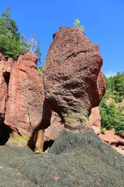 カナダのホープウェル ロック パークは北大西洋のファンディ湾の岸に位置しています — ストック写真