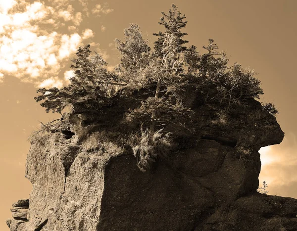 Hopewell Rocks Park Στον Καναδά Που Βρίσκεται Στις Όχθες Του — Φωτογραφία Αρχείου