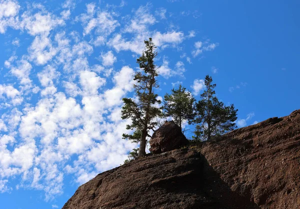 Hopewell Rocks Park Στον Καναδά Που Βρίσκεται Στις Όχθες Του — Φωτογραφία Αρχείου