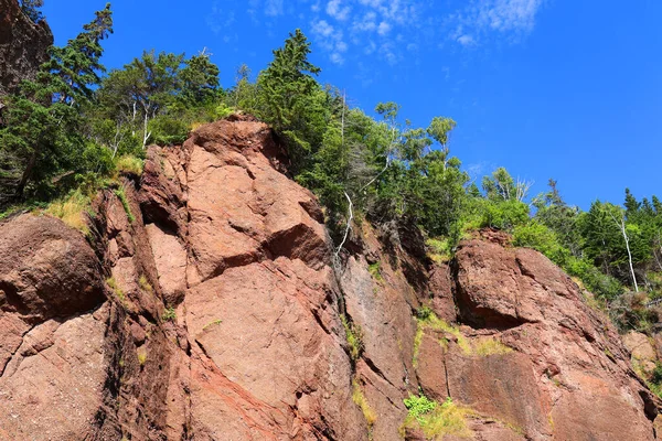 Hopewell Rocks Park Στον Καναδά Που Βρίσκεται Στις Όχθες Του — Φωτογραφία Αρχείου