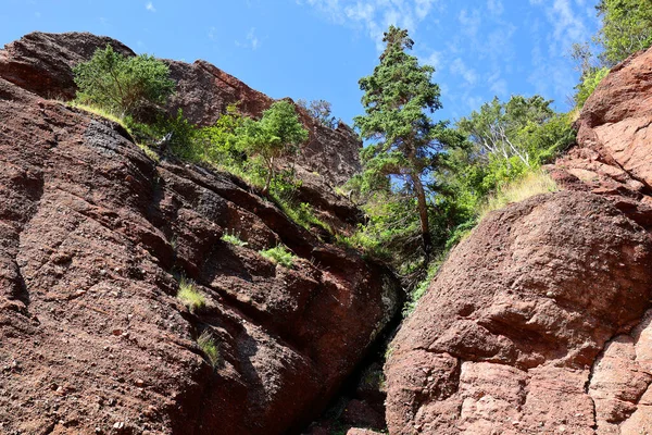 Hopewell Rocks Park Canada Situato Sulle Rive Della Baia Fundy — Foto Stock