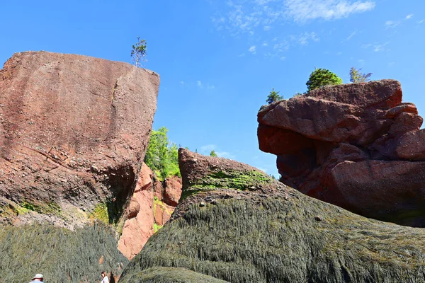 Hopewell Rocks Park Kanadában Fundy Öböl Partján Található Atlanti Óceán — Stock Fotó
