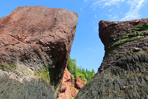 Hopewell Rocks Park Канаді Розташований Березі Затоки Fundy Північноатлантичному Океані — стокове фото