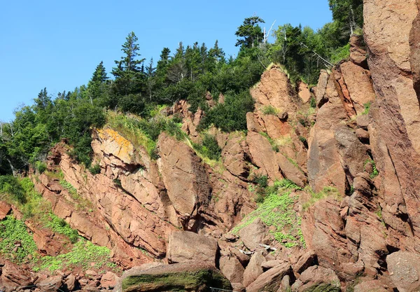 Hopewell Rocks Park Canadá Localizado Nas Margens Baía Fundy Oceano — Fotografia de Stock