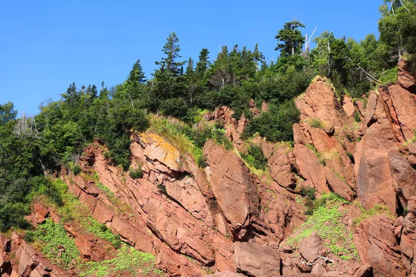 Hopewell Rocks Park Στον Καναδά Που Βρίσκεται Στις Όχθες Του — Φωτογραφία Αρχείου