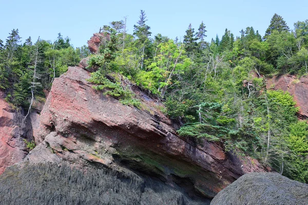 Hopewell Rocks Park Canadá Localizado Nas Margens Baía Fundy Oceano — Fotografia de Stock