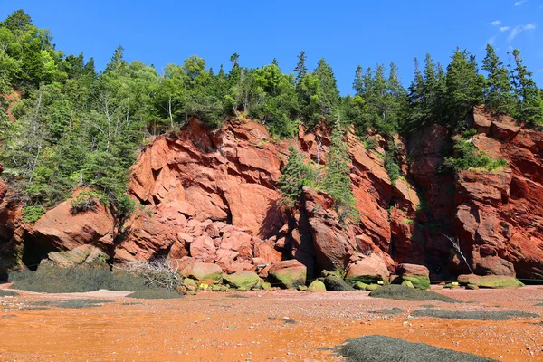 Hopewell Rocks Park Canada Located Shores Bay Fundy North Atlantic — Stock Photo, Image