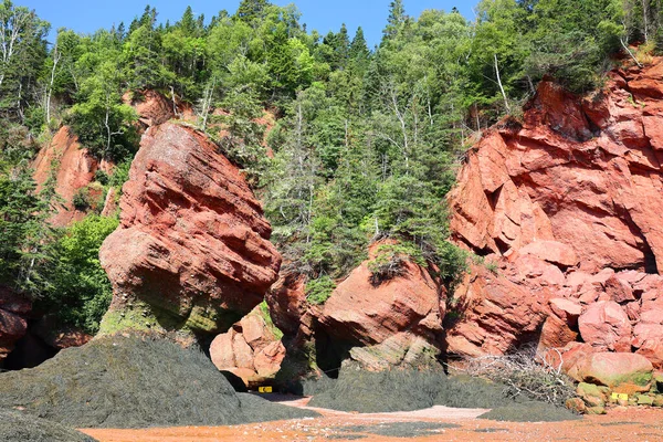 Парк Hopewell Rocks Канаде Расположенный Берегах Залива Фали Северной Части — стоковое фото