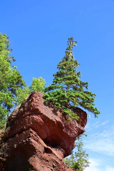 Hopewell Rocks Park Στον Καναδά Που Βρίσκεται Στις Όχθες Του — Φωτογραφία Αρχείου