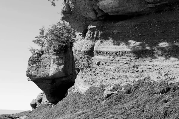 Hopewell Rocks Park Στον Καναδά Που Βρίσκεται Στις Όχθες Του — Φωτογραφία Αρχείου