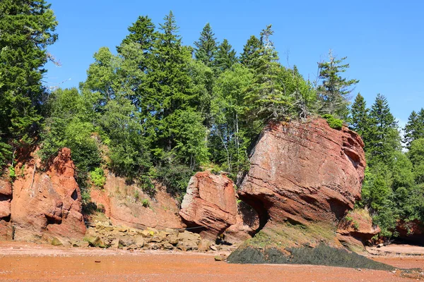 Hopewell Rocks Park Kanadában Fundy Öböl Partján Található Atlanti Óceán — Stock Fotó