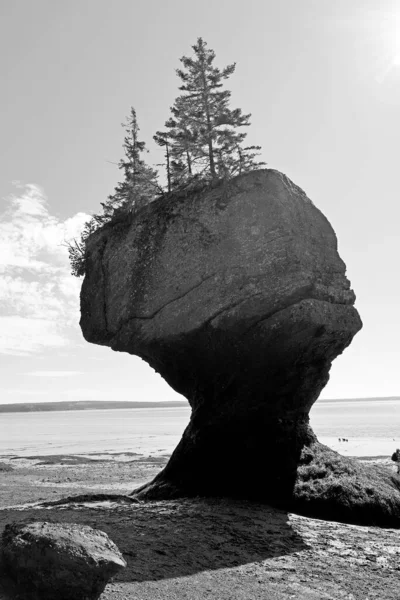 Парк Hopewell Rocks Канаде Расположенный Берегах Залива Фали Северной Части — стоковое фото