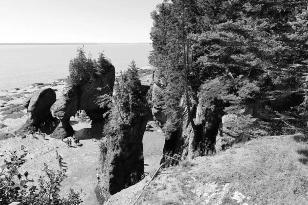 Ακρωτήριο Hopewell Καναδάς Σεπτεμβρίου 2018 Προβολή Του Hopewell Βράχια Κατά — Φωτογραφία Αρχείου