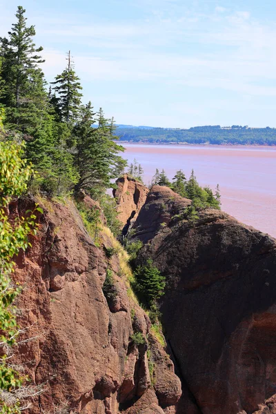 Парк Hopewell Rocks Канаде Расположенный Берегах Залива Фали Северной Части — стоковое фото