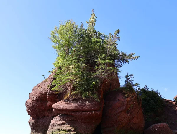 Hopewell Rocks Park Kanadě Nachází Břehu Zálivu Fundy Severním Atlantiku — Stock fotografie