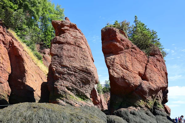 Hopewell Rocks Park Στον Καναδά Που Βρίσκεται Στις Όχθες Του — Φωτογραφία Αρχείου