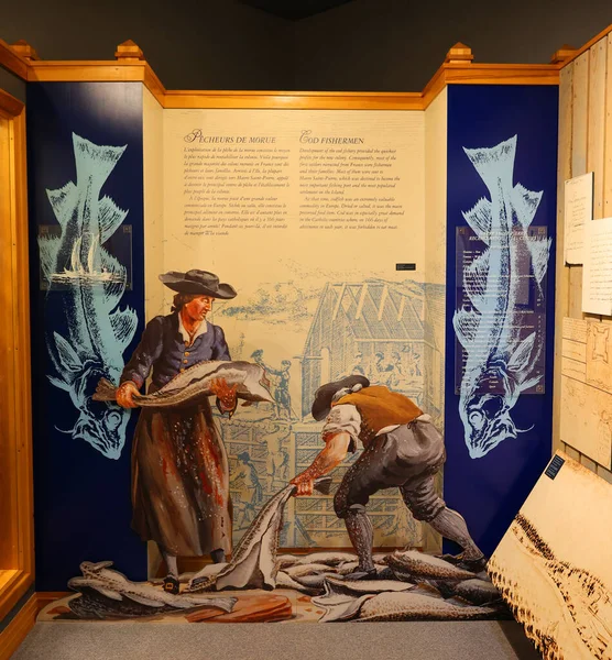 Antik tarih müzesinin içi 