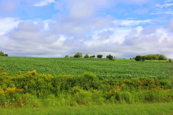 Beau Paysage Saison Estivale — Photo