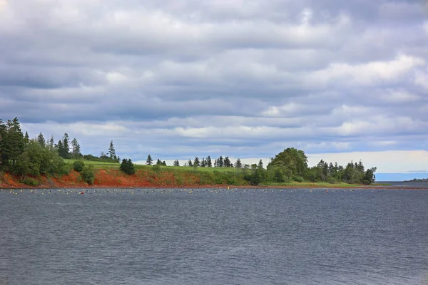 Schöne Landschaft Mit See Und Küste — Stockfoto