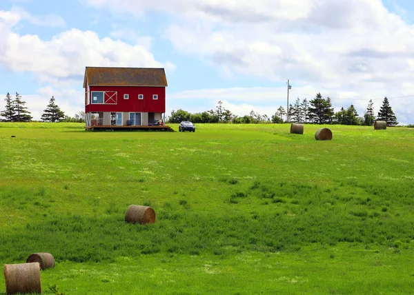 Rural Field Hay Bales — Stock Photo, Image