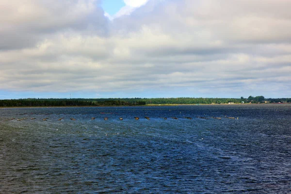 Piękny Krajobraz Wybrzeża Rzeki — Zdjęcie stockowe