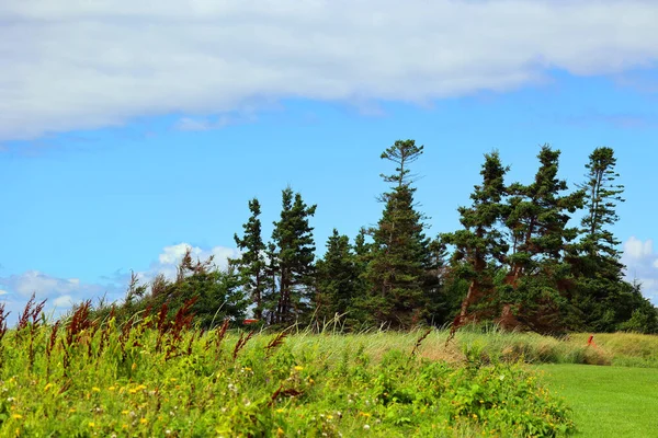 Prens Edwards Adası Kanada Kırsalında Manzara — Stok fotoğraf