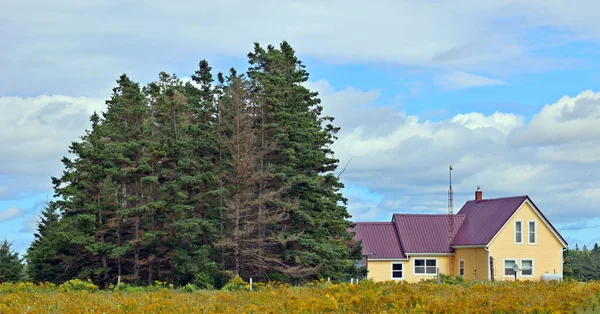 Vidékes Előzmények Island 2022 Fram House Rural Prince Edward Island — Stock Fotó