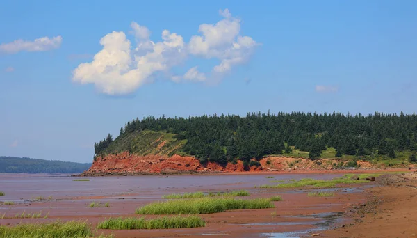 Sandy Shore Con Bassa Marea Nella Baia Fundy Sackville Nuovo — Foto Stock