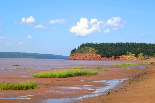 Αμμώδης Ακτή Χαμηλή Παλίρροια Στον Κόλπο Του Fundy Στο Sackville — Φωτογραφία Αρχείου