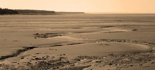 Sandstrand Vid Lågvatten Fundy Bay Sackville New Brunswick Kanada — Stockfoto