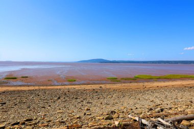 Sackville, New Brunswick, Kanada 'daki Fundy Körfezi' nde sular çekildiğinde kumsal kıyısı