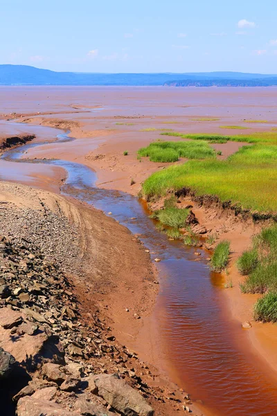 Zandkust Bij Baai Van Fundy Sackville New Brunswick Canada — Stockfoto