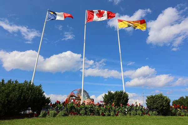 Flaggor Som Blåser Vinden Kanada New Brunswick Och Acadia — Stockfoto