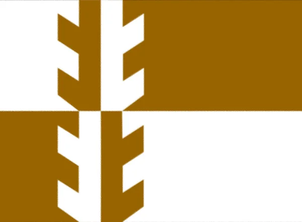 Bandera Damaraland 1980 — Foto de Stock