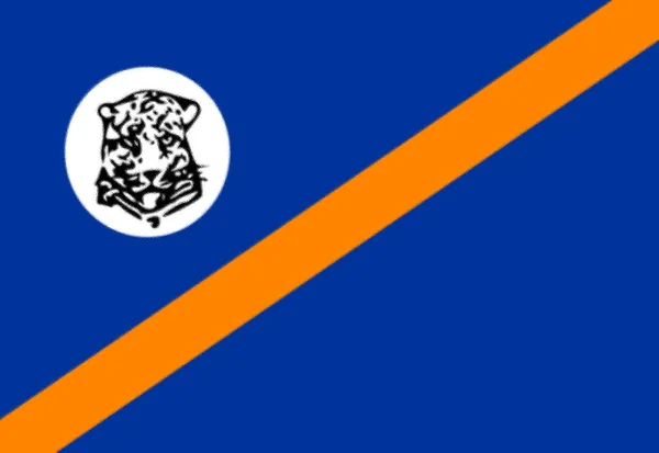 Bophuthat Egy Zászlóvektor Ikonra Vágyik Bophuthat Swana Nemzeti Szimbóluma Fehér — Stock Fotó