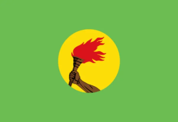 Flaga Zairu 1971 — Zdjęcie stockowe