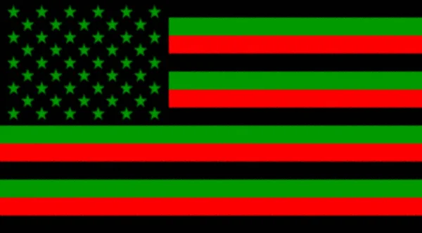 Zde Vyvěšená Vlajka Byla Ledna 2009 Vyvěšena Washingtonu Některými Lidmi — Stock fotografie