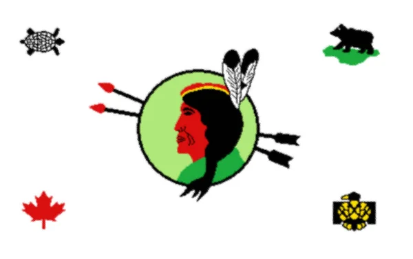 Флаг Премьерной Нации Оданака — стоковое фото