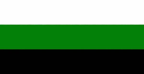 Flaga Autonomisty Układu Nerwowego — Zdjęcie stockowe