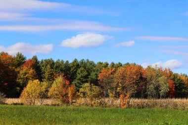 Kuzey Amerika doğudaki Bromont Quebec eyaletleri Kanada 'ya düştü