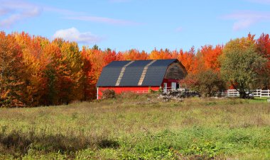 BROMONT QUEBEC CANADA - 10 10 10 2022: Bromont 'un kırsal kesimindeki eski arazi arazisi Brome-Missisquoi Bölgesel İlçe Belediyesinde yer almaktadır.