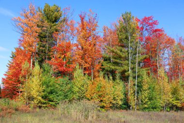 Kuzey Amerika doğudaki Bromont Quebec eyaletleri Kanada 'ya düştü