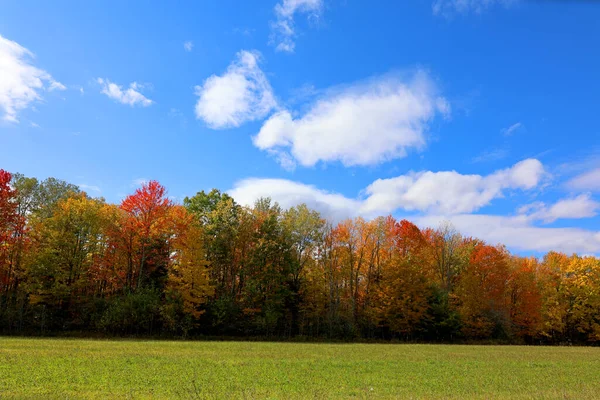 América Norte Queda Paisagem Leste Municípios Bromont Quebec Província Canadá — Fotografia de Stock