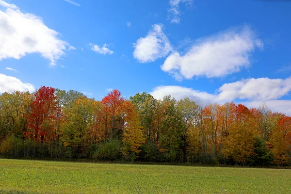 América Del Norte Caída Paisaje Este Municipios Bromont Quebec Provincia — Foto de Stock