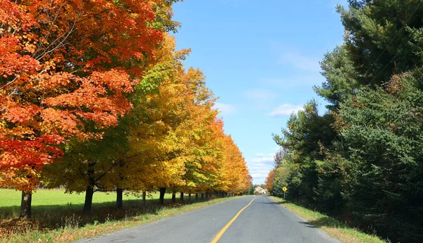 Северо Американский Осенний Ландшафтный Путь Дороги Восточном Городе Провинции Квебек — стоковое фото