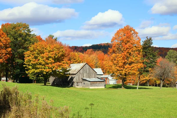 Bromont Quebec Canada 2022 Podzimní Krajina Stará Farma Venkovské Straně — Stock fotografie