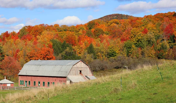 Bromont Quebec Canada 2022 Őszi Táj Régi Farm Vidéki Oldalán — Stock Fotó