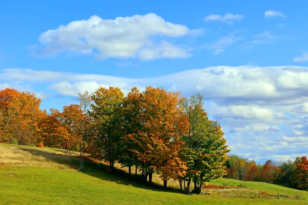 Severní Amerika Podzim Krajina Východní Části Města Provincie Bromont Quebec — Stock fotografie