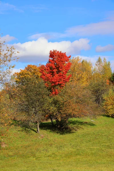 北美秋季景观东部乡镇布鲁蒙特魁北克省加拿大 — 图库照片